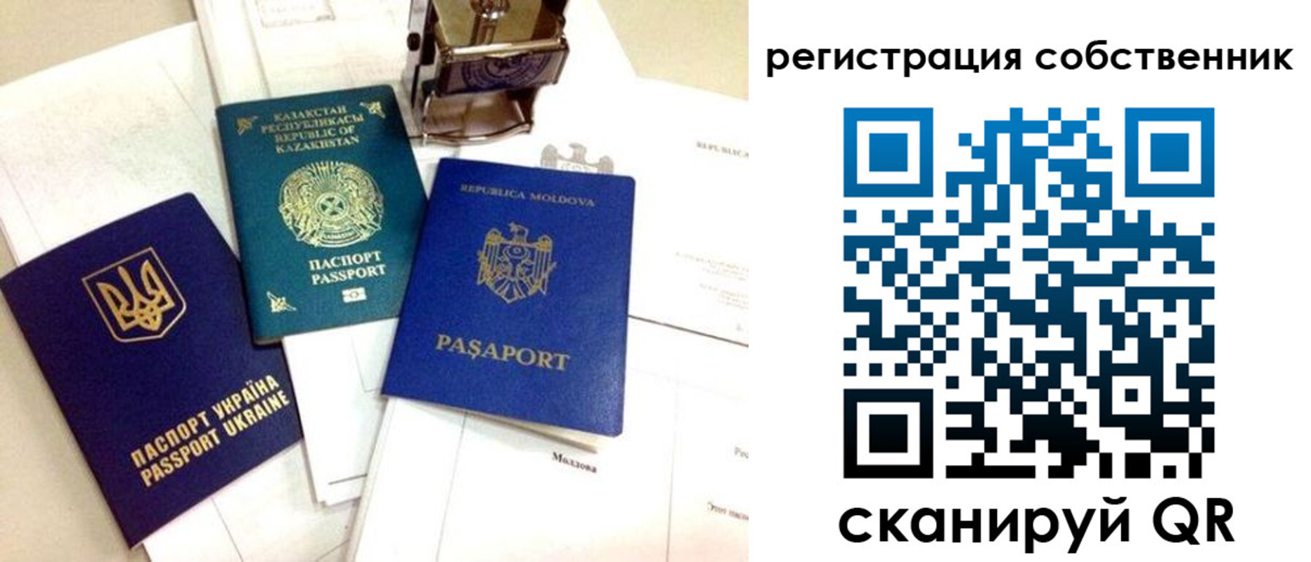 временная регистрация поиск в Кингисеппе